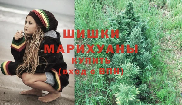 PSILOCYBIN Алзамай