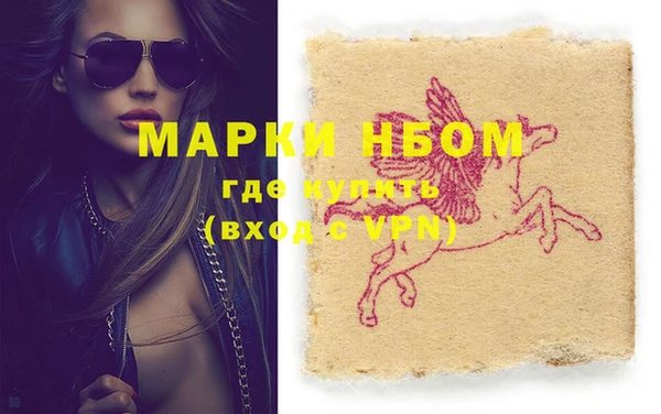 PSILOCYBIN Алзамай